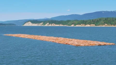 Tariffs and Trade in Forestry | Drone View of Logging Supply Chain Stock Footage 307164665