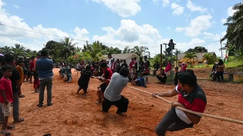 Tarik tambang Stock Footage 222523538