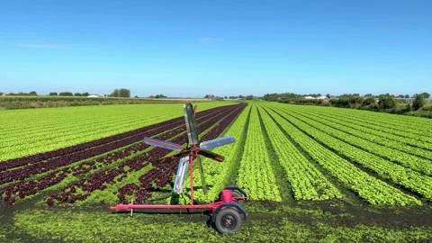 Tarleton UK. 2024 Sep 17; Scatterbird gas bird scarer in lettuce field. 4k Video Stock Footage 284838246