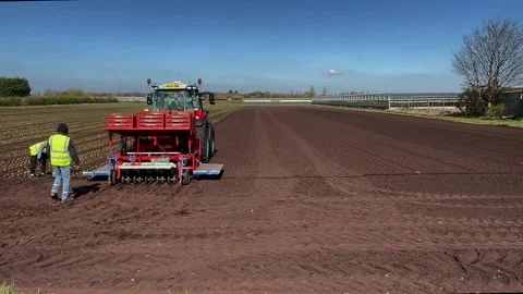 Tarleton UK. 2025 April, 02; Massey Ferguson Tractor MF5s.145, Lettuce planting Stock Footage 305743529