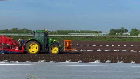 Tarleton, UK 2025 April, 29; Automatice Lettuce planter at work in the fields Stock Footage 307939166