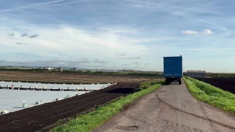 Tarleton, UK 2025 March 27:  Spring planting of Iceberg lettuce under fleece. Stock Footage 305169449