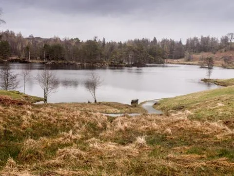 Tarn Hows Stock Photos