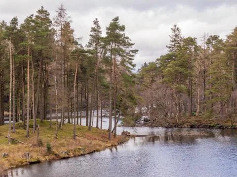 Tarn Hows Stock Photos