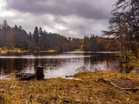 Tarn Hows Stock Photos