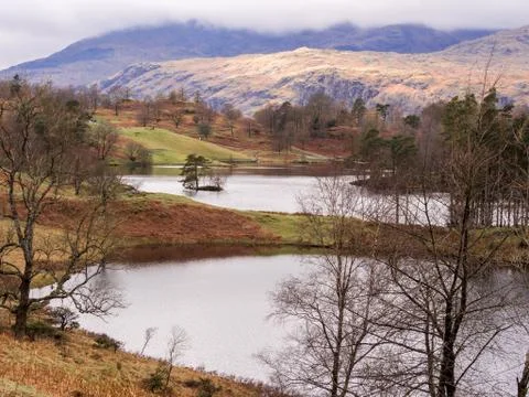 Tarn Hows Stock Photos