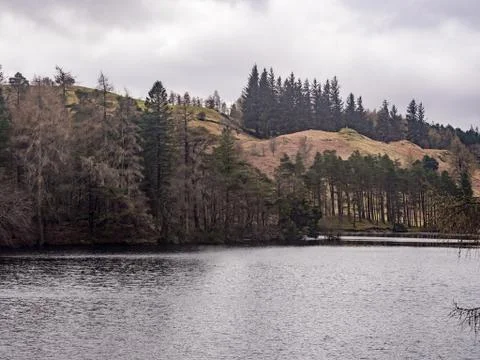 Tarn Hows Stock Photos