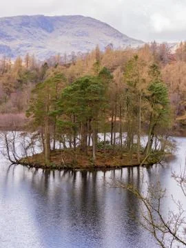 Tarn Hows Stock Photos
