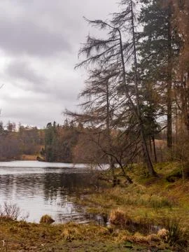 Tarn Hows Stock Photos
