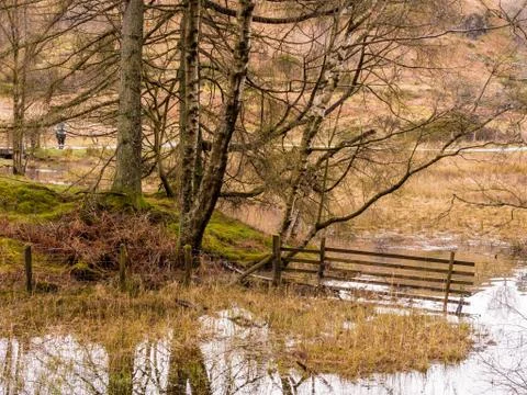 Tarn Hows Stock Photos