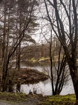 Tarn Hows Stock Photos
