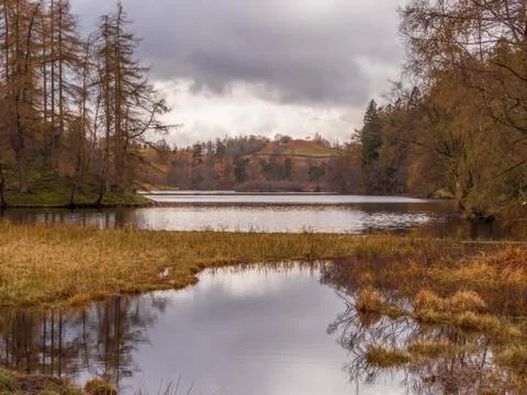 Tarn Hows Stock Photos