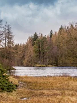 Tarn Hows Stock Photos