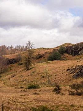 Tarn Hows Stock Photos