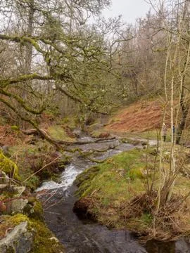 Tarn Hows Stock Photos