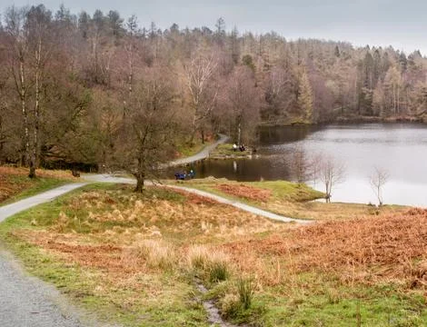Tarn Hows Stock Photos