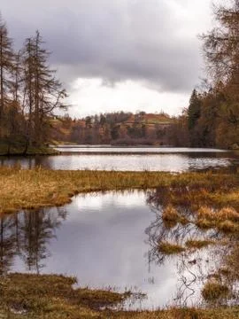 Tarn Hows Stock Photos