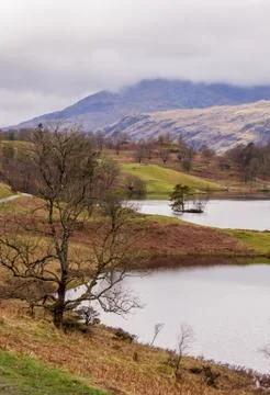 Tarn Hows Stock Photos