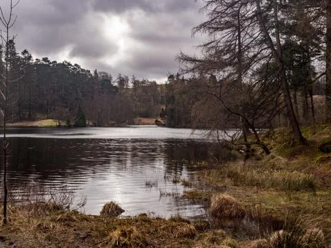 Tarn Hows Stock Photos