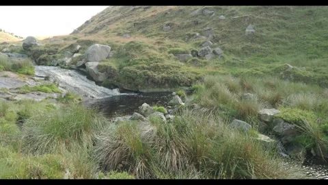 Tarnbrook Wyre Stock Footage 313353856
