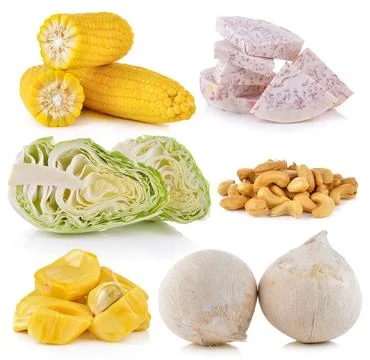 Taro, cabbage, coconut, jack fruit, Cashews, corn on white background Stock Photos