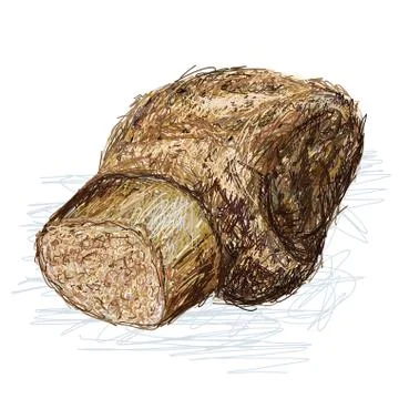 Taro cyrtosperma Stock Illustration