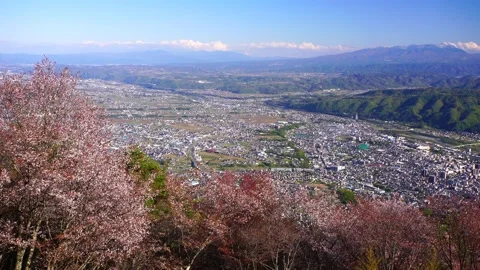 Taro Mountain's Thousand Cherry Blossoms and the Mountains of Ueda City, Stock Footage 330990326