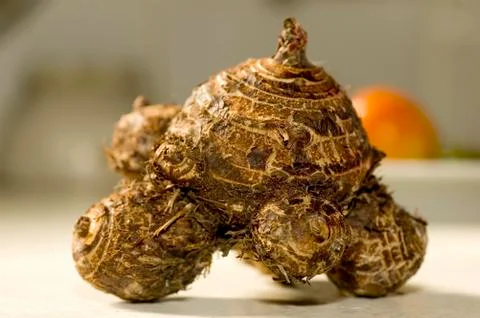Taro Stock Photos