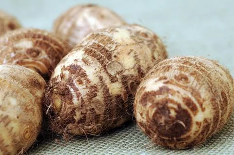 Taro Stock Photos