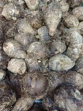 Taro root collection (cara) Stock Photos