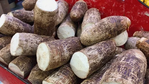 Taro root on display Stock Footage 86663868