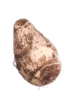 Taro root isolated on white Stock Photos