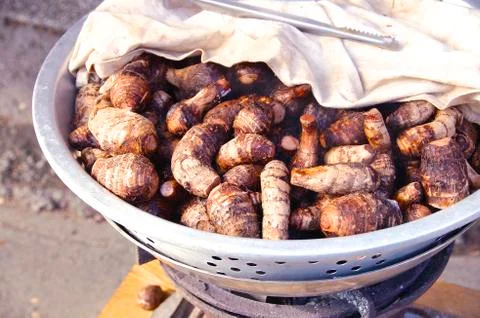 Taro roots Stock Photos