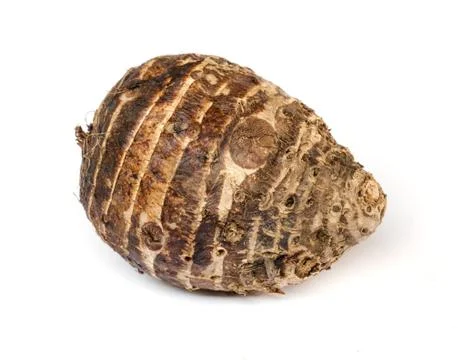 Taro roots. Stock Photos
