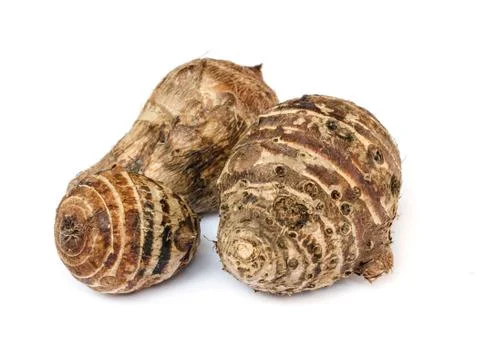 Taro roots. Stock Photos