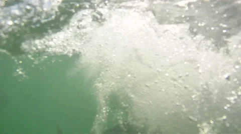 Tarpon: hitting on the surface Stock-Footage 882749
