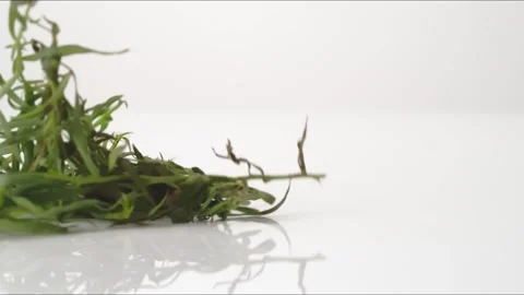 Tarragon Bouncing Slow Motion White Tabletop Closeup Macro Food Studio Stock Footage 335005734