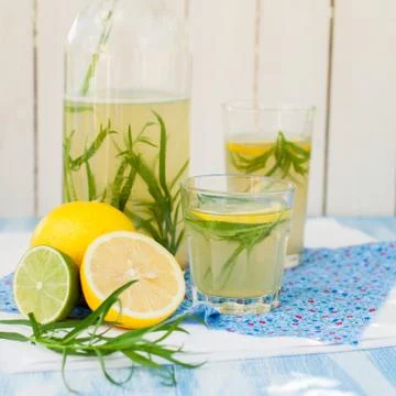 Tarragon Lemonade Stock-Fotos