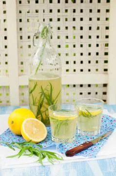 Tarragon Lemonade Stock Photos