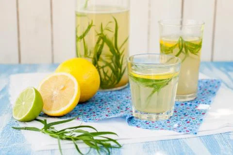 Tarragon Lemonade Stock Photos