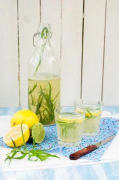 Tarragon Lemonade Stock Photos