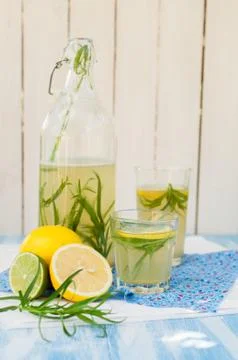 Tarragon Lemonade Stock Photos
