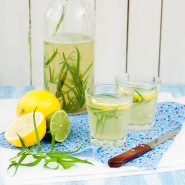 Tarragon Lemonade Stock Photos