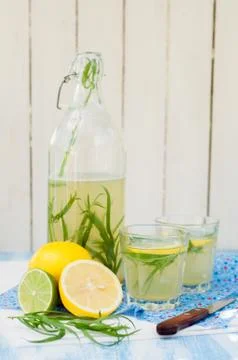 Tarragon Lemonade Stock Photos