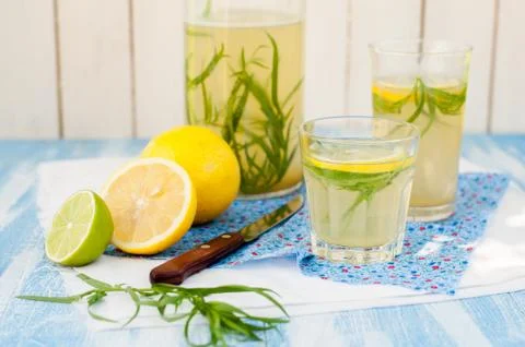 Tarragon Lemonade 스톡 사진