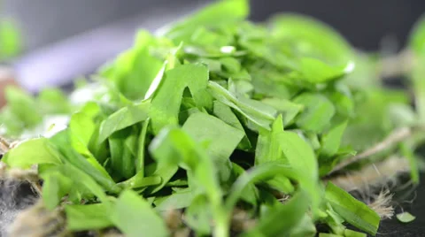 Tarragon (not loopable video) 스톡 동영상 37092977