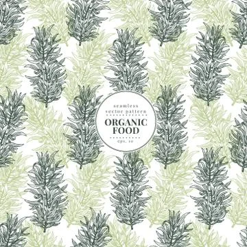 Tarragon. Vector seamless pattern with estragon for design menu, packaging and Stock Illustration