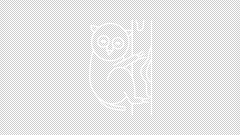 Tarsier clinging to tree white line animation Stock Footage 345256586