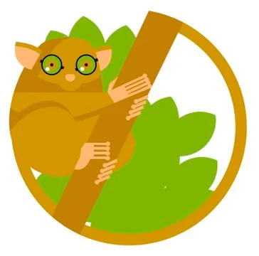 Tarsier monkey small primate Stock Illustration