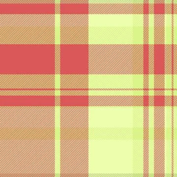 Tartan plaid fabric pattern with a structured check arrangement and a woven f Stock Illustration